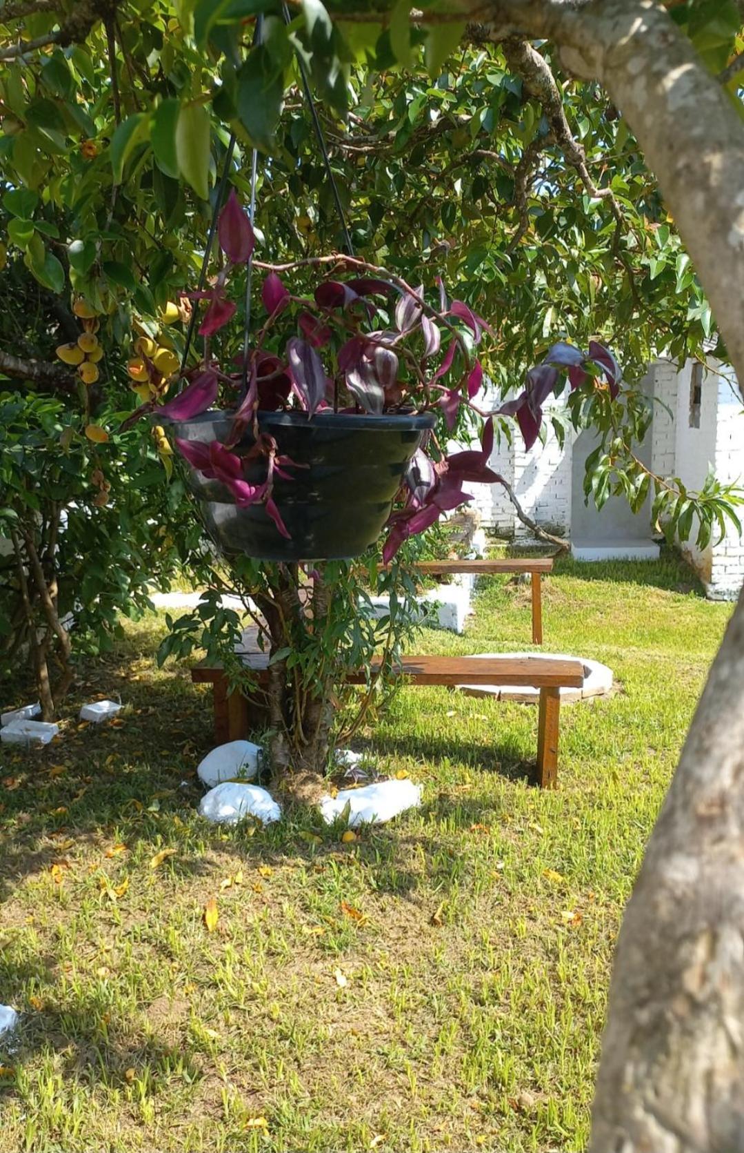 Casinha Verde Passa Quatro Extérieur photo